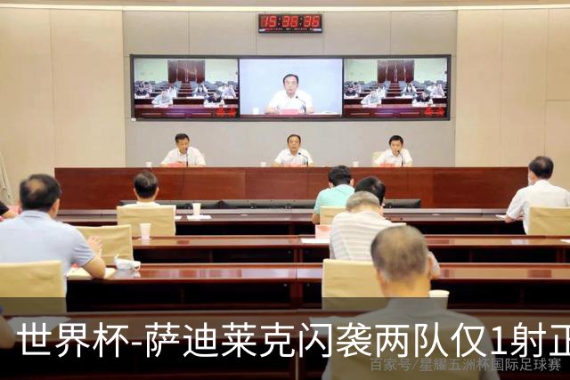 世界杯-萨迪莱克闪袭两队仅1射正 捷克半场暂1-0南非