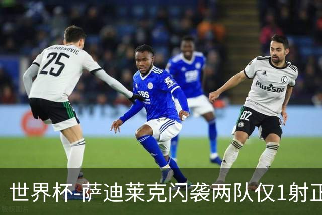 世界杯-萨迪莱克闪袭两队仅1射正 捷克半场暂1-0南非