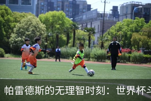 帕雷德斯的无理智时刻：世界杯斗殴+爆射替补席 涉嫌故意染红