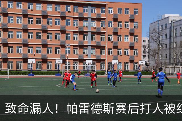 致命漏人！帕雷德斯赛后打人被红牌罚下，倒在地上痛哭：鳄鱼眼泪