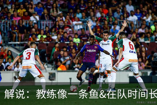 解说：教练像一条鱼&在队时间长了就会发臭 杜锋话语出现效应递减