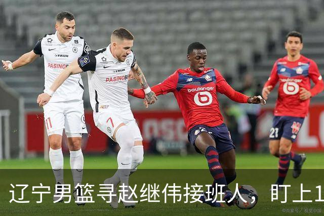 辽宁男篮寻赵继伟接班人，盯上12+3新星，与多队竞争，山东千万挖王岚嵚